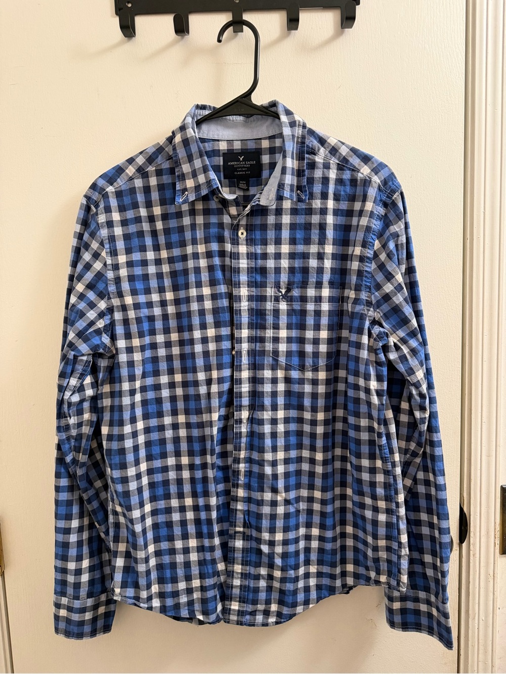 American Eagle Outfitters Blue and White Plaid Button-Down Shirt